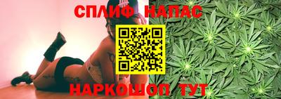 прущие крисы Шебекино